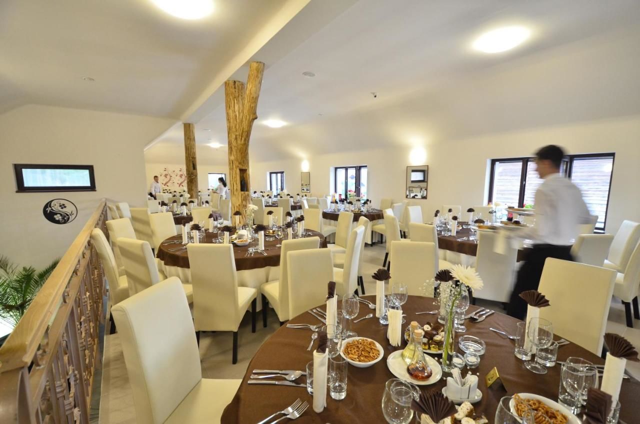 Отели типа «постель и завтрак» Pensiune Restaurant Flamingo Сигету-Мармацией-38