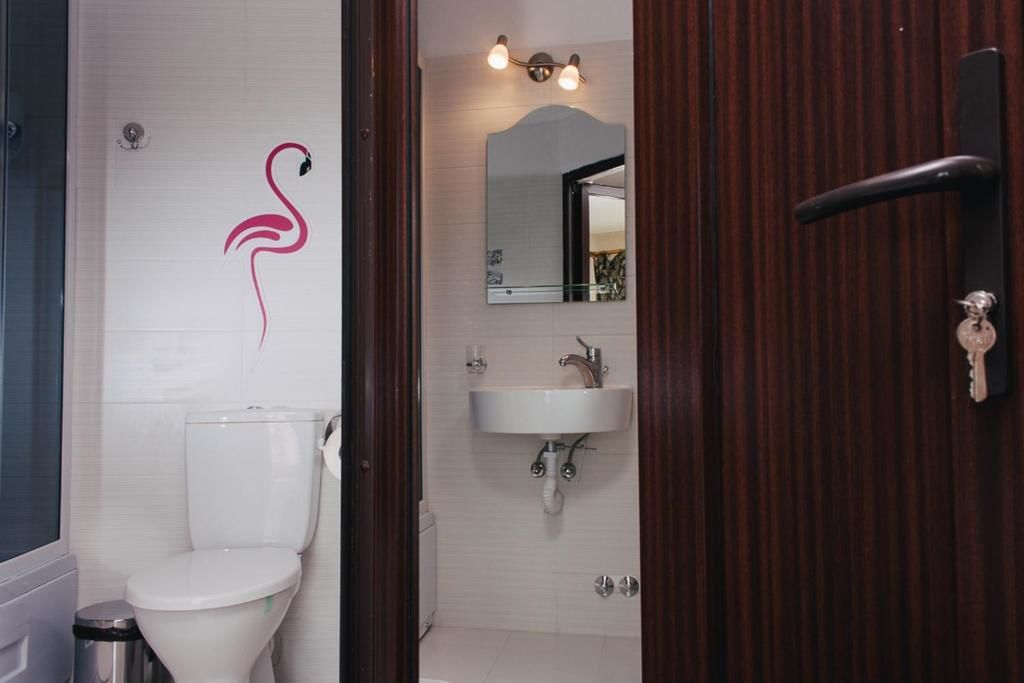 Отели типа «постель и завтрак» Pensiune Restaurant Flamingo Сигету-Мармацией